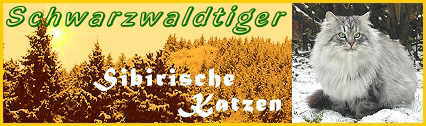 banner-schwarzwaldtiger.jpg (16112 Byte)